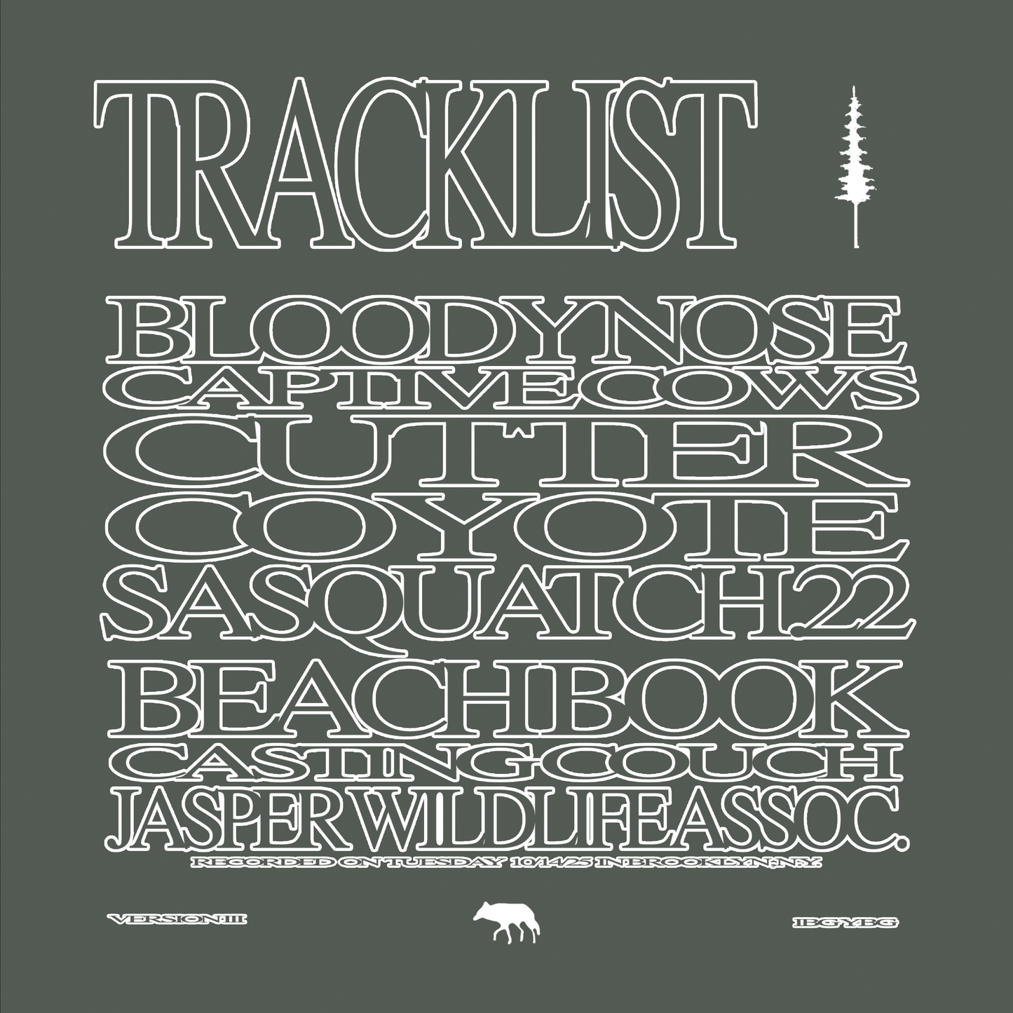 Acoustic S/T Vinyl Record