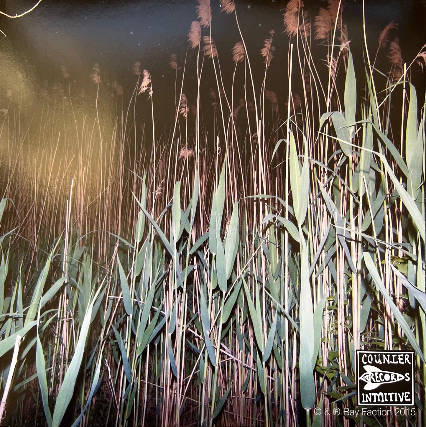 S/T VINYL (pink/clear pinwheel)